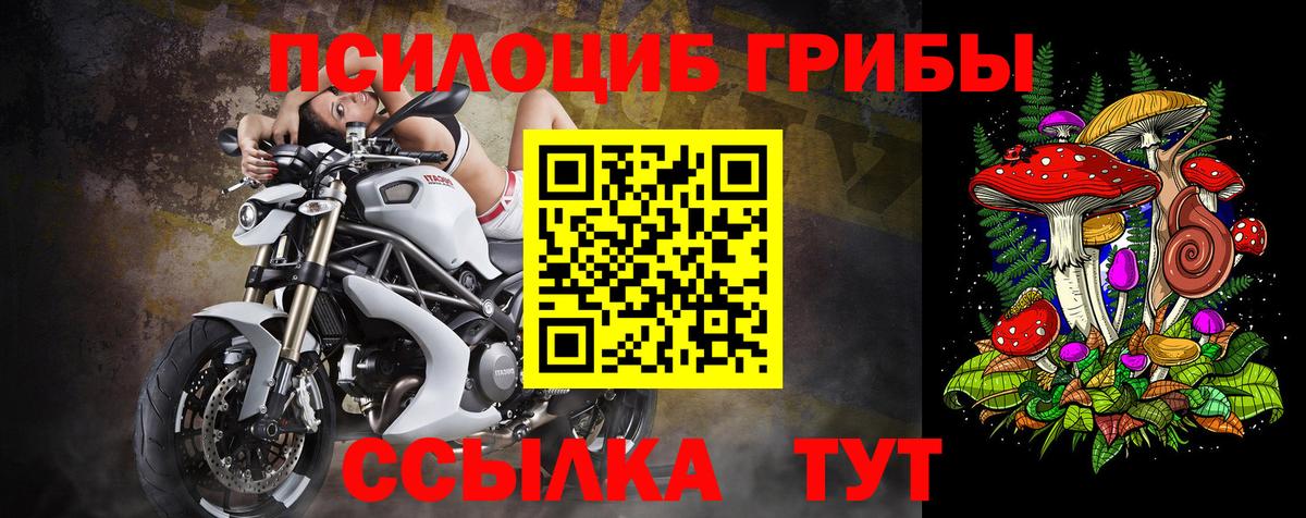 Феодосия  Псилоцибиновые грибы GOLDEN TEACHER  Вход с VPN 