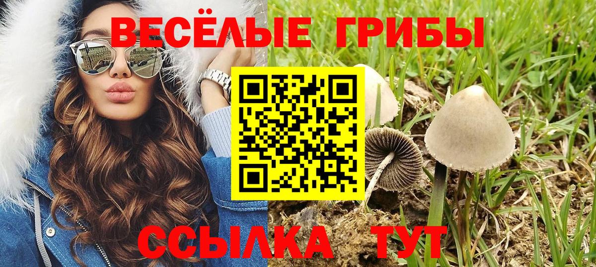 Псилоцибиновые грибы GOLDEN TEACHER Феодосия